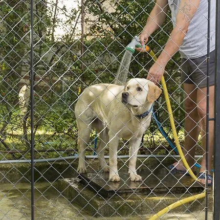 In With Terrace, Air Conditioning, W-lan, Washing Machine 4928-11 Ferienhaus Poreč