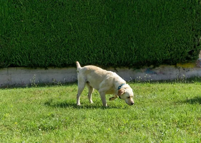 펜션 In With Terrace, Air Conditioning, W-lan, Washing Machine 4928-11 포레치