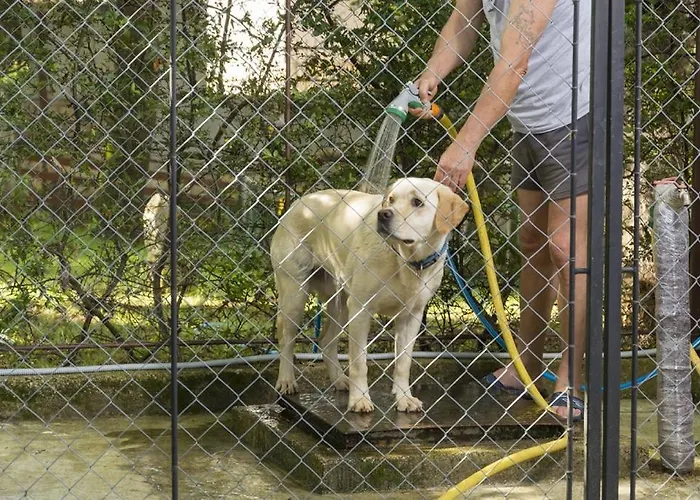 In With Terrace, Air Conditioning, W-lan, Washing Machine 4928-11 펜션 포레치